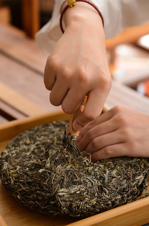 普洱茶有保质期吗 放了太久之后还能喝吗