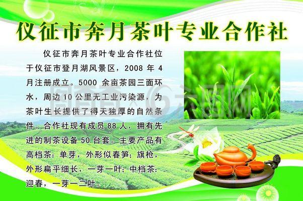 茶叶社简介图片