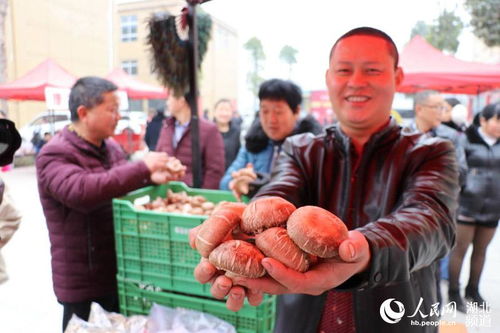 助力精准扶贫 湖北竹溪第二届年货节开幕