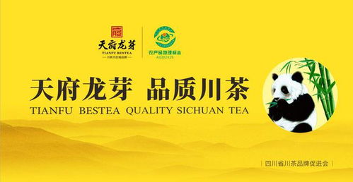 今年茶文化节有新亮点 打造精品茶叶 唱响 天姥茶禊 文化ip