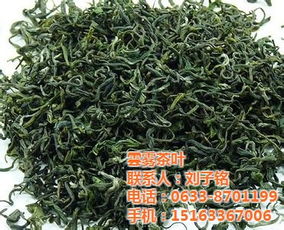 日照绿茶产地 云雾茶叶