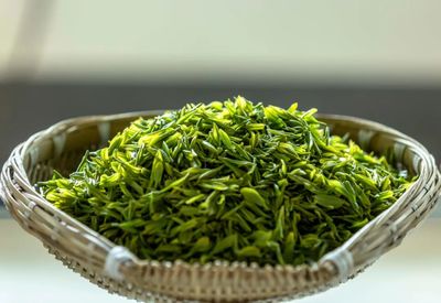 黔西:采制明前茶 增收促发展